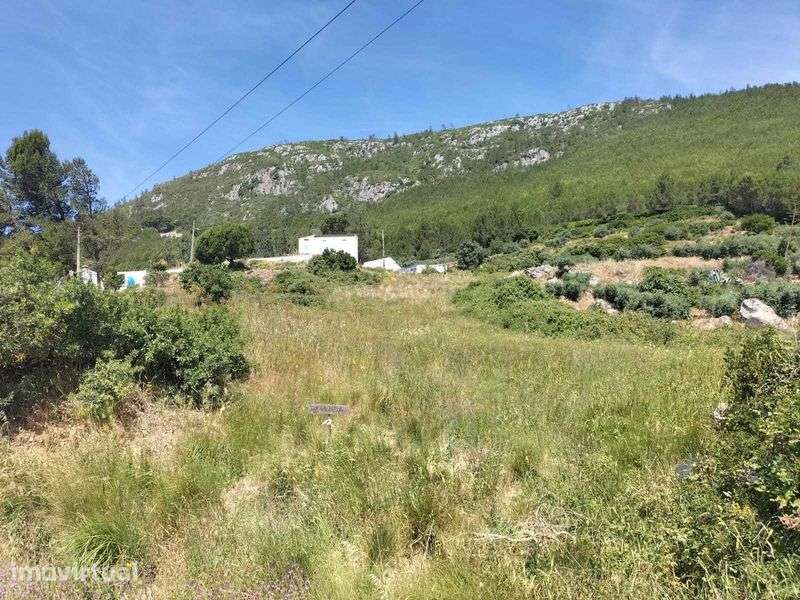 Terreno rústico 3.552 m2 Abrigada Serra de Montejunto - Grande imagem: 3/6