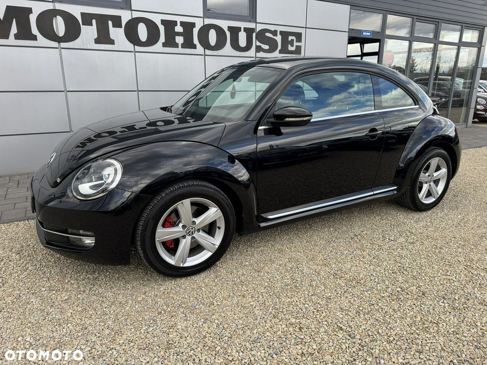 Volkswagen Beetle - 8