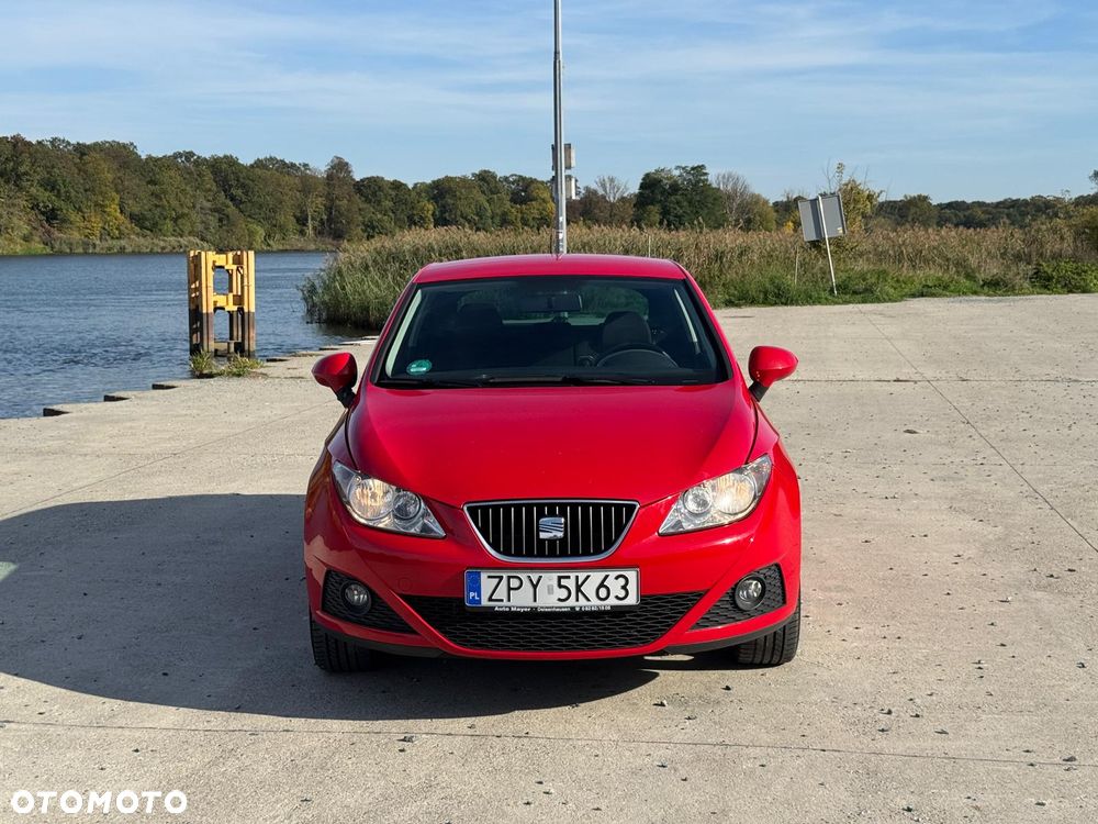 Seat Ibiza - 29