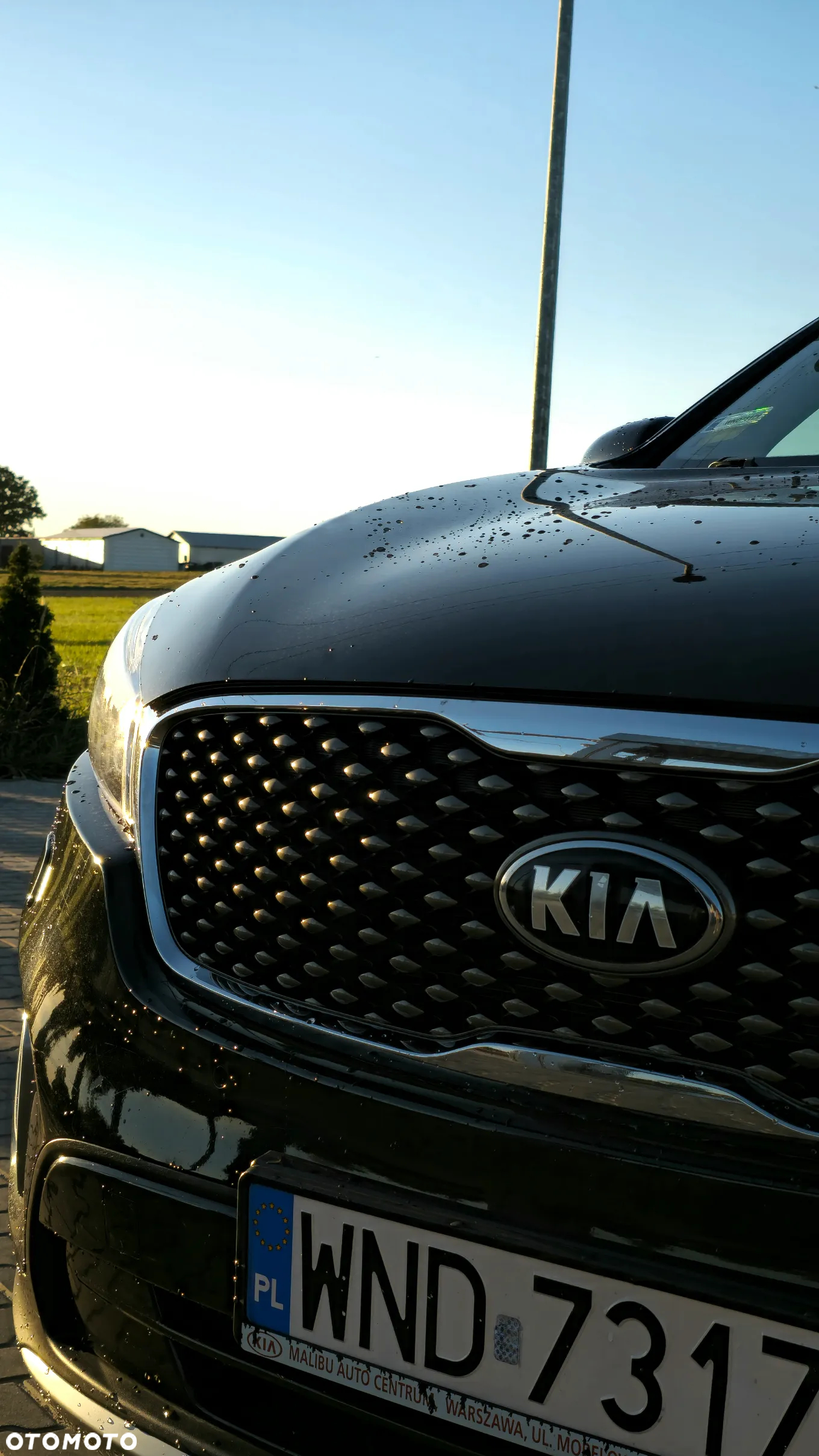 Kia Sorento - 3
