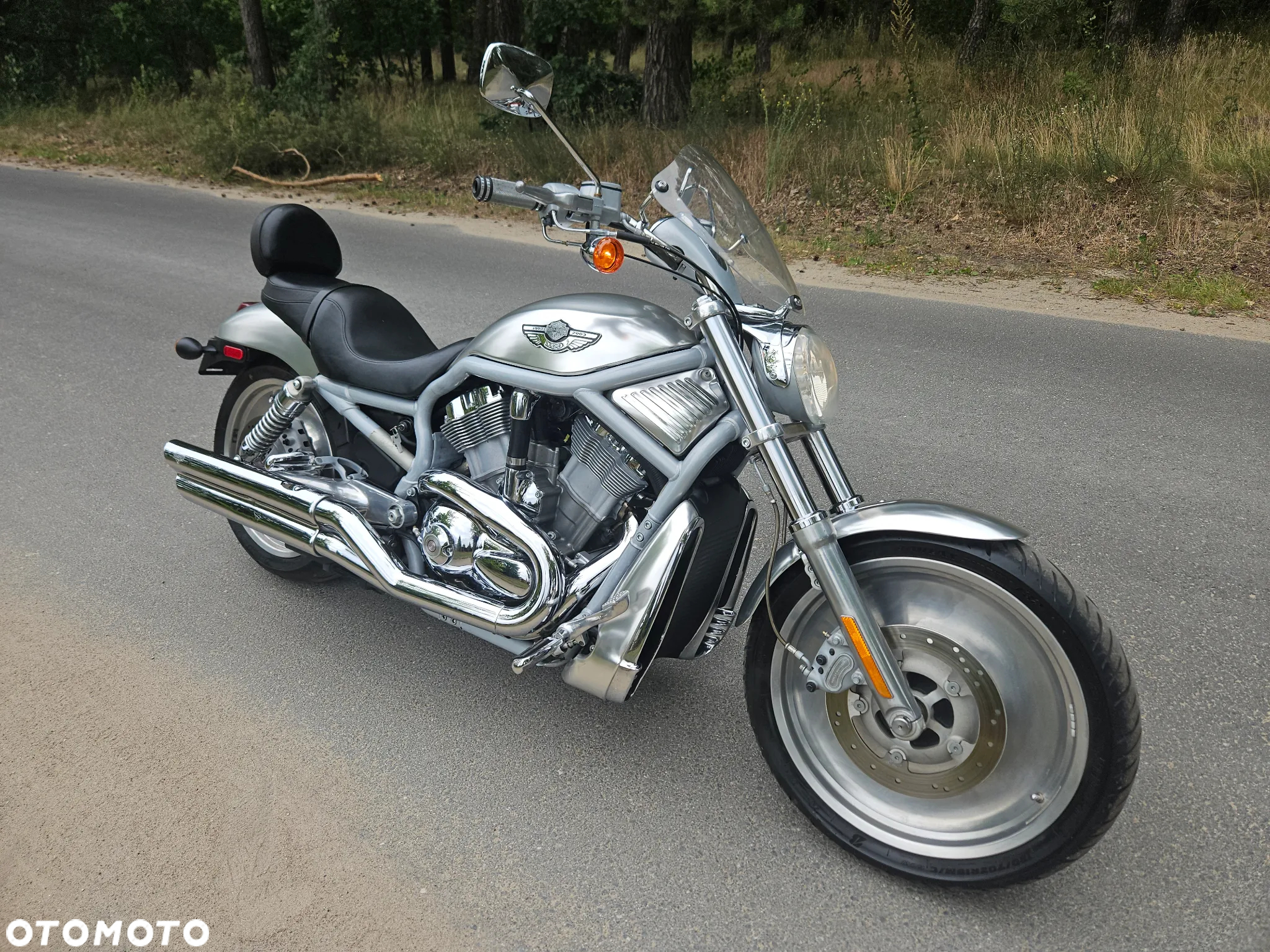 Harley-Davidson V-Rod Street Rod - 2