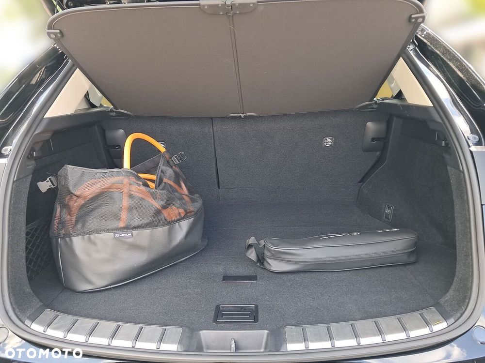 Lexus NX - 13