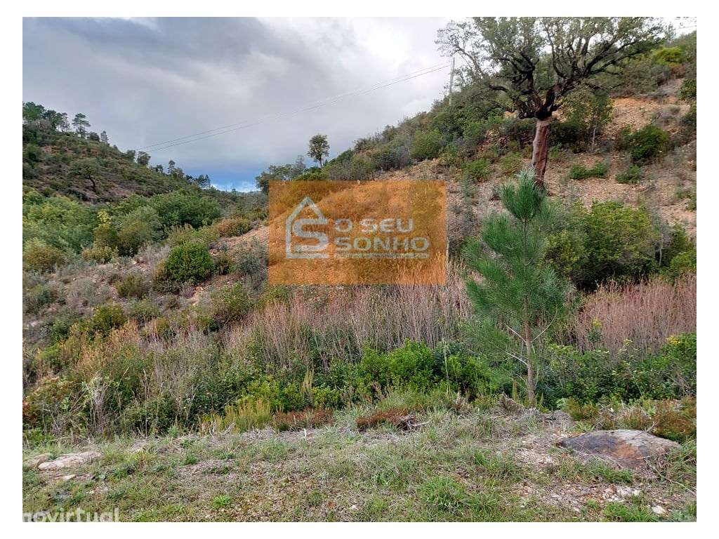 Terreno Rústico em Javali - Grande imagem: 3/9