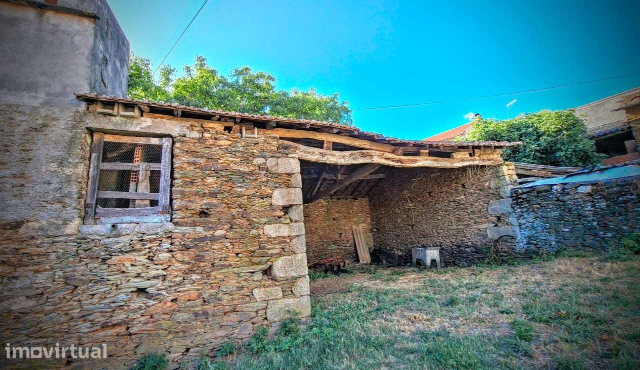 Moradia Tradicional Transmontana em Pedra com Terreno, Adegas e Pombal - Grande imagem: 4/31