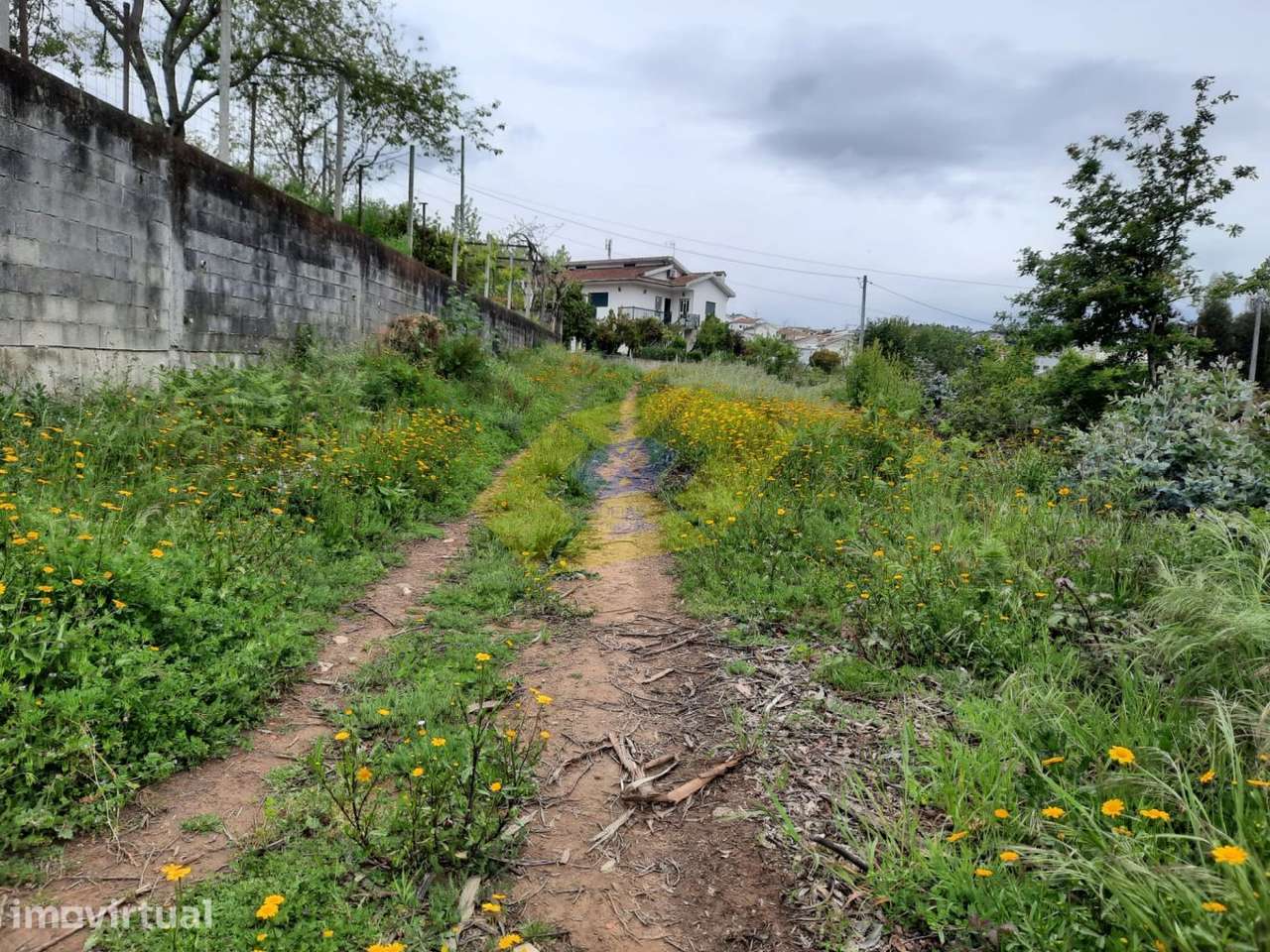 Terreno Florestal em Felgueiras com 6000m2 - Grande imagem: 2/6