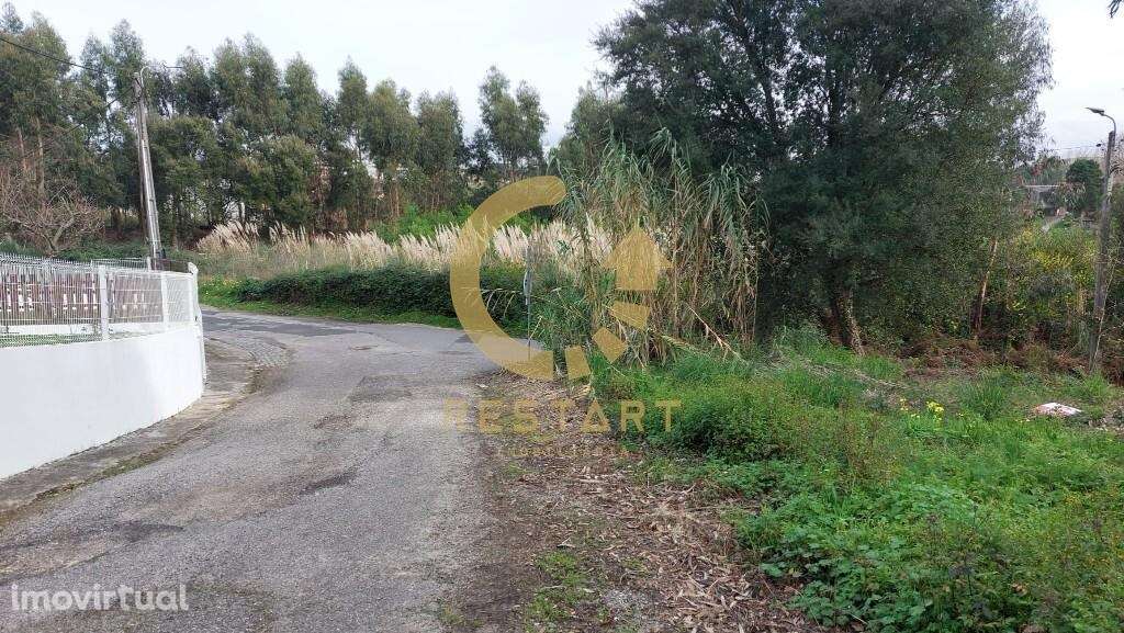 Lotes 901m2 Madalena - Grande imagem: 3/26