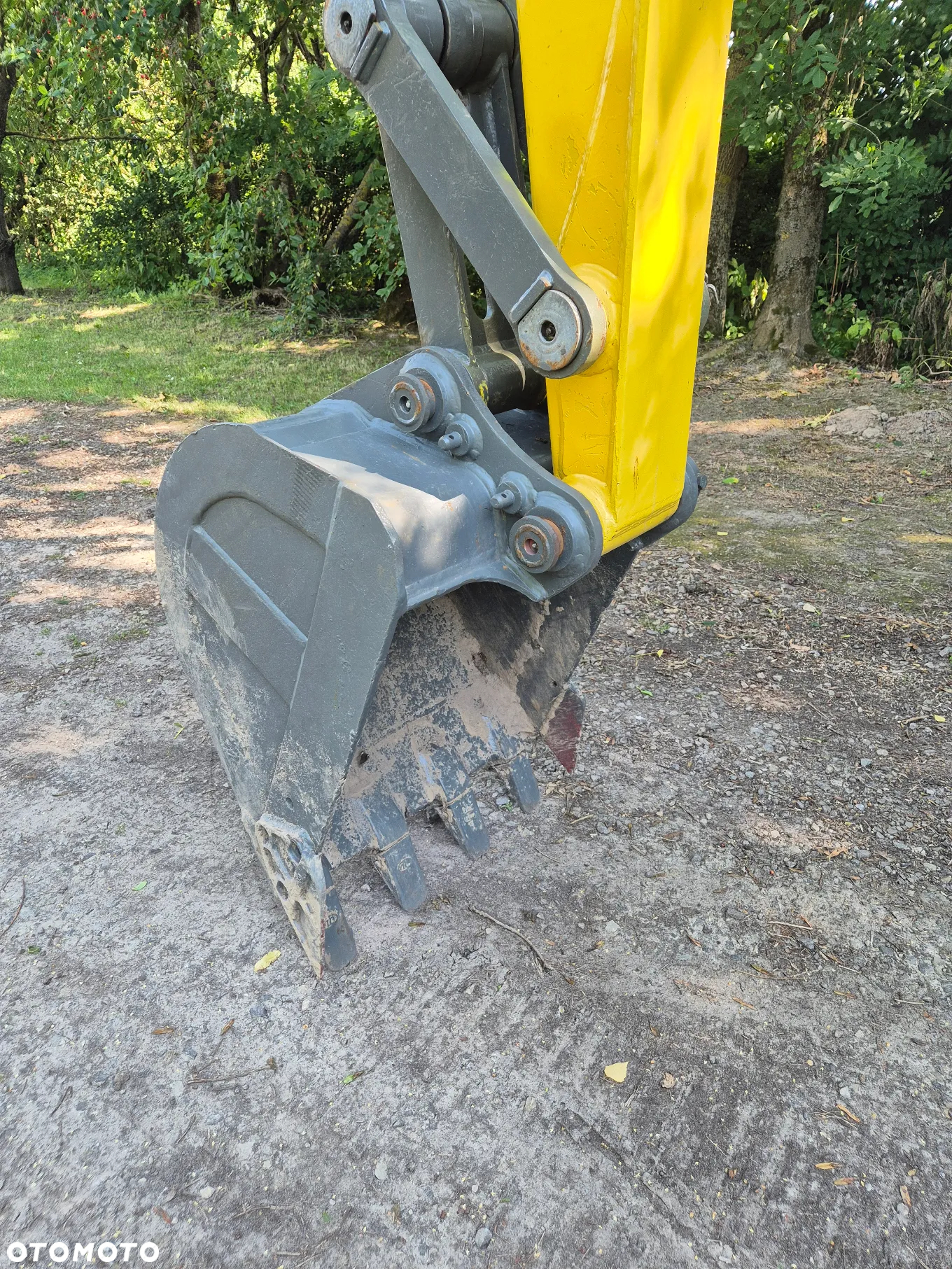 Wacker Neuson 6003 - 9