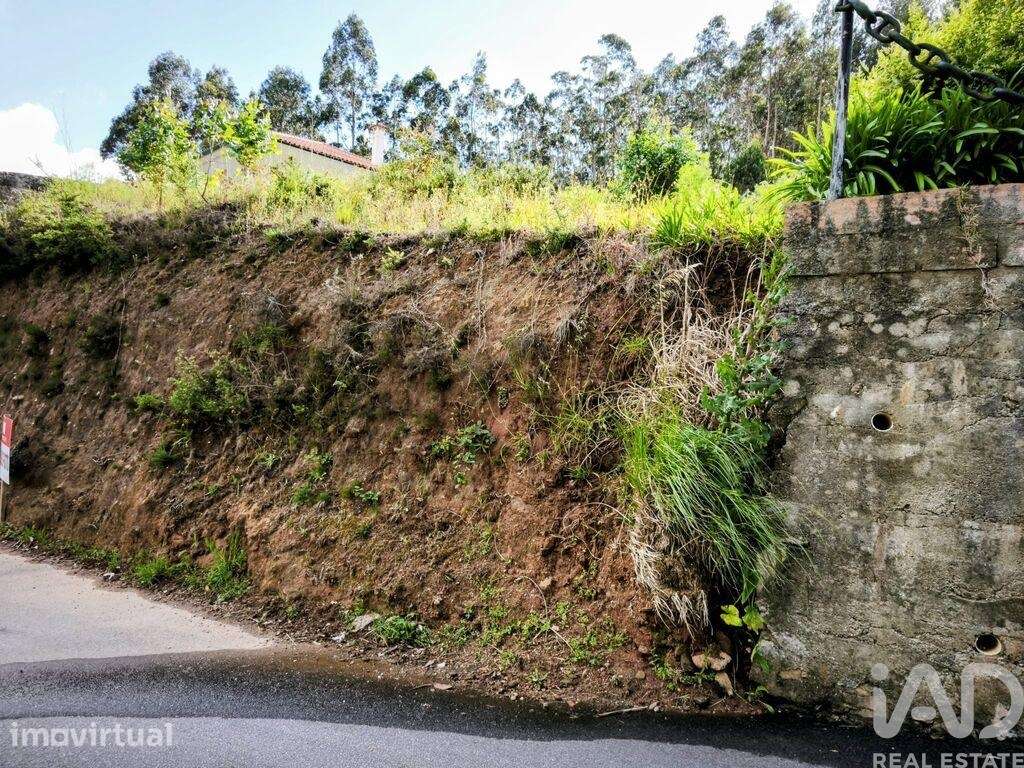 Terreno misto em Mujães - Grande imagem: 2/12