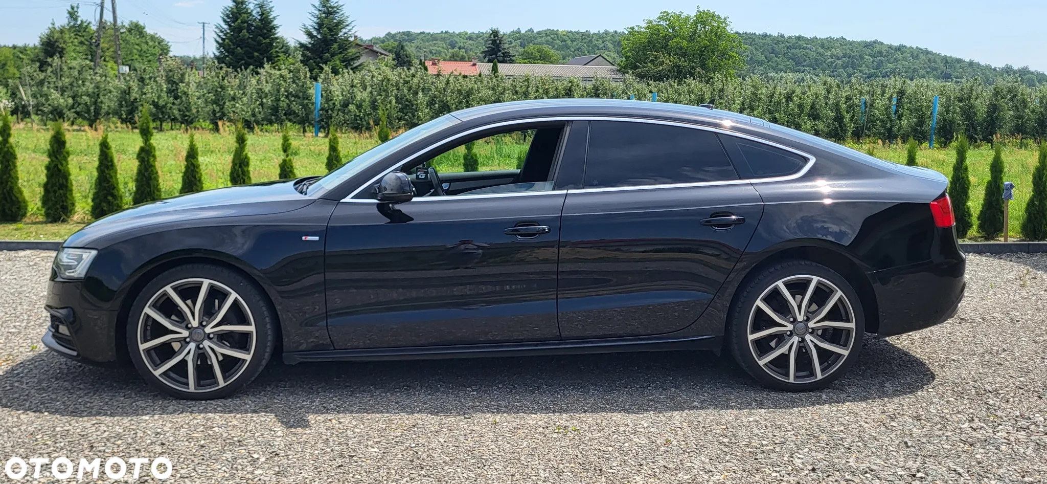 Audi A5 3.0 TDI clean diesel Quattro S tronic - 9