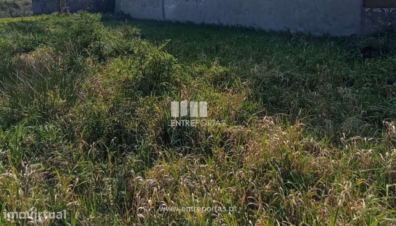 Venda de Terreno agrícola com 800 m2, Amorim, Póvoa de Varzim - Grande imagem: 2/11