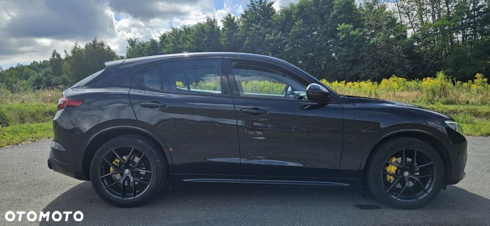 Alfa Romeo Stelvio 2.0 Turbo Veloce Q4 - 6