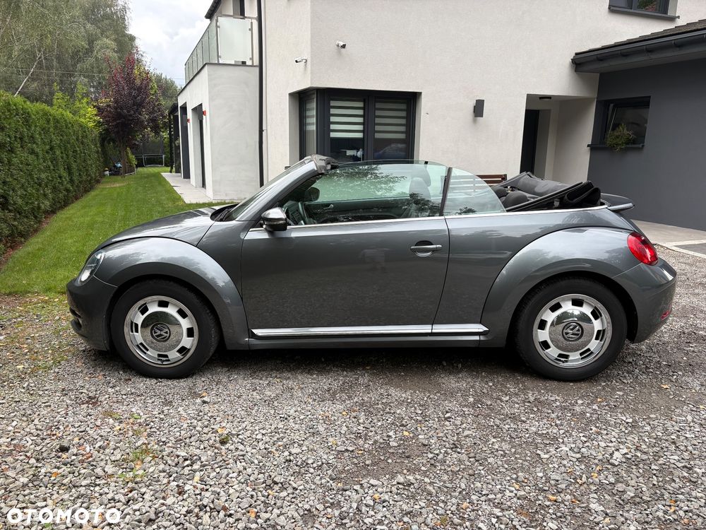Volkswagen Beetle - 12