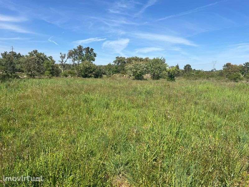 Terreno Fátima Boleiros - Grande imagem: 4/4