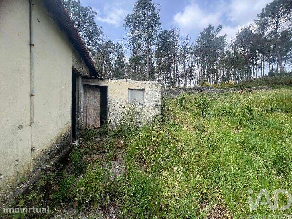 Moradia térrea T2 em Campo e Sobrado de 56 m2 - Grande imagem: 3/10