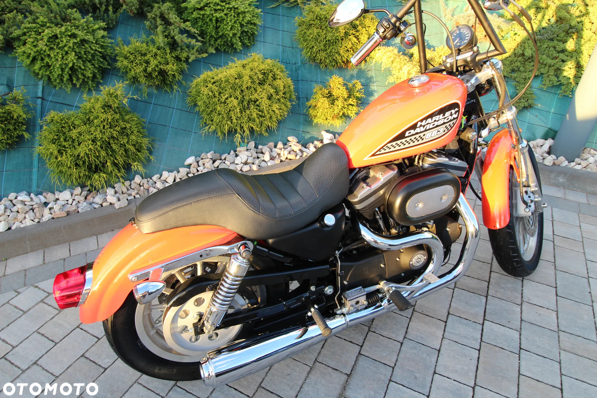 Harley-Davidson Sportster - 3