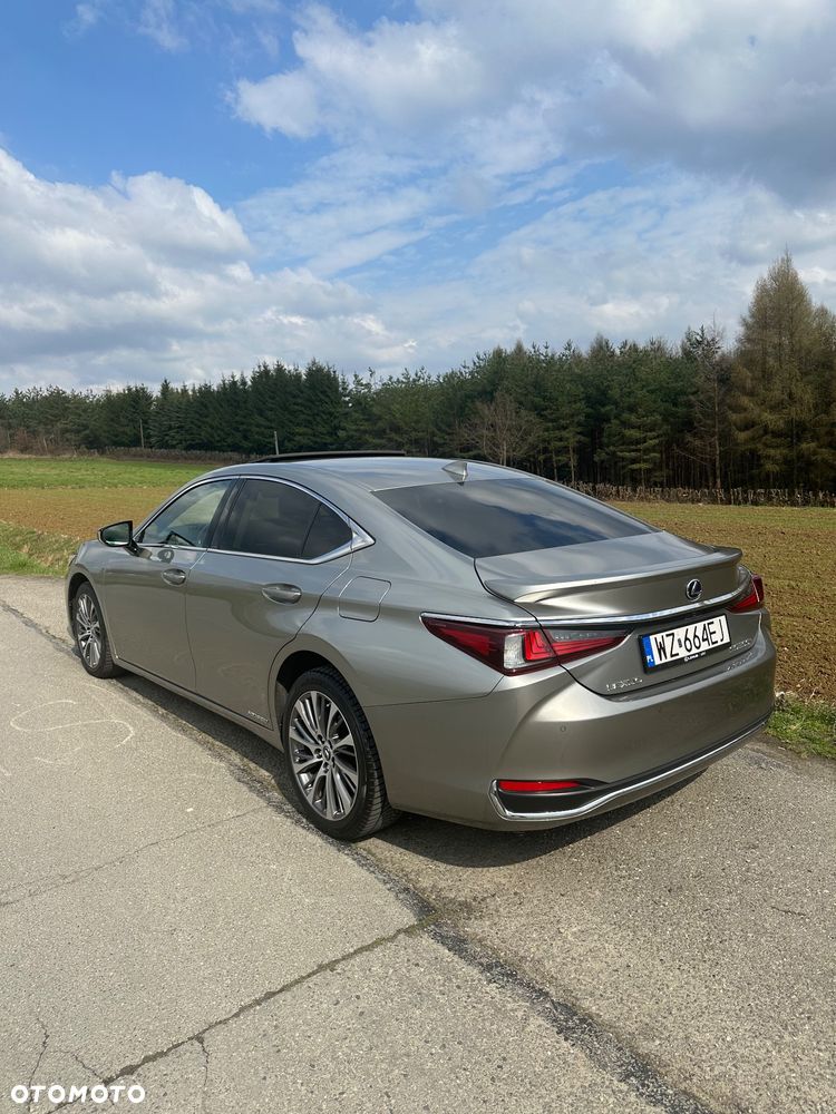 Lexus ES 300h Business Edition + - 31