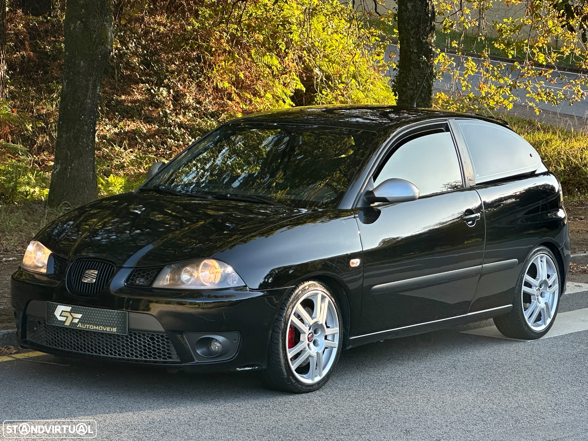 SEAT Ibiza 1.9 TDi Cupra - 17