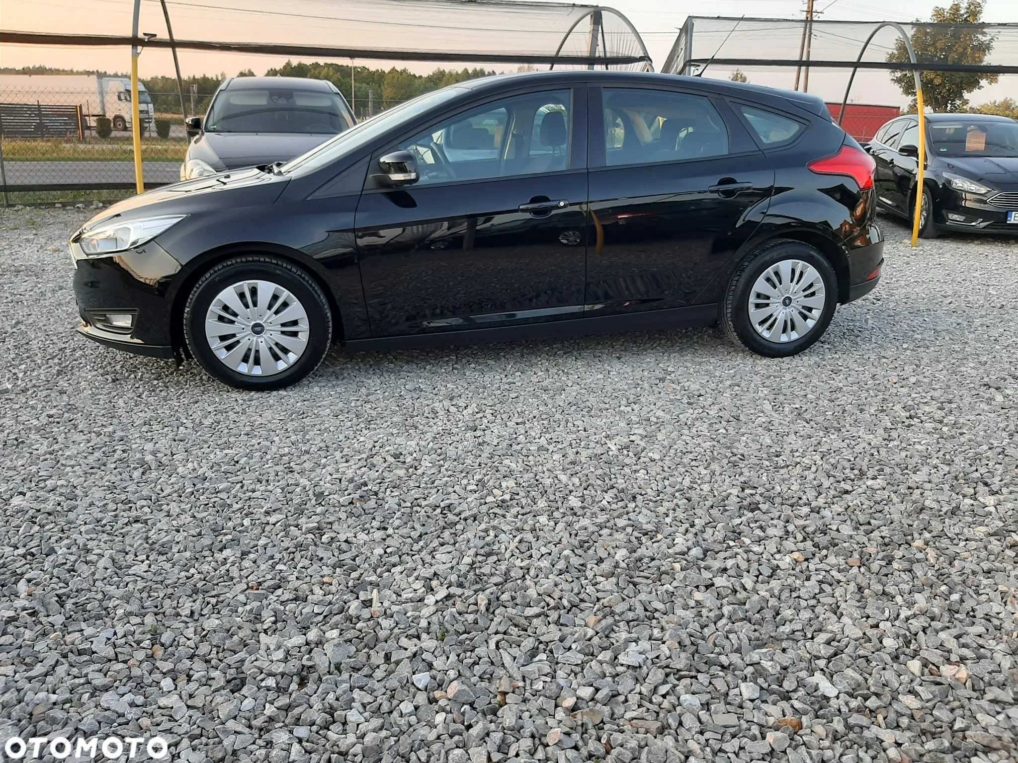 Ford Focus 1.5 EcoBlue Titanium - 7