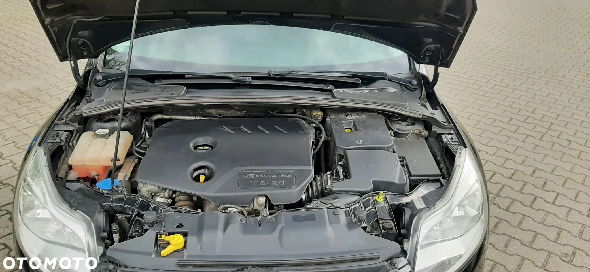 Ford Focus - 13