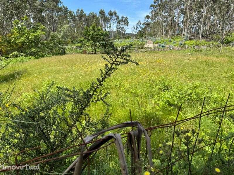 Terreno para Construção - Lamoso, Paços de Ferreira - Grande imagem: 3/5