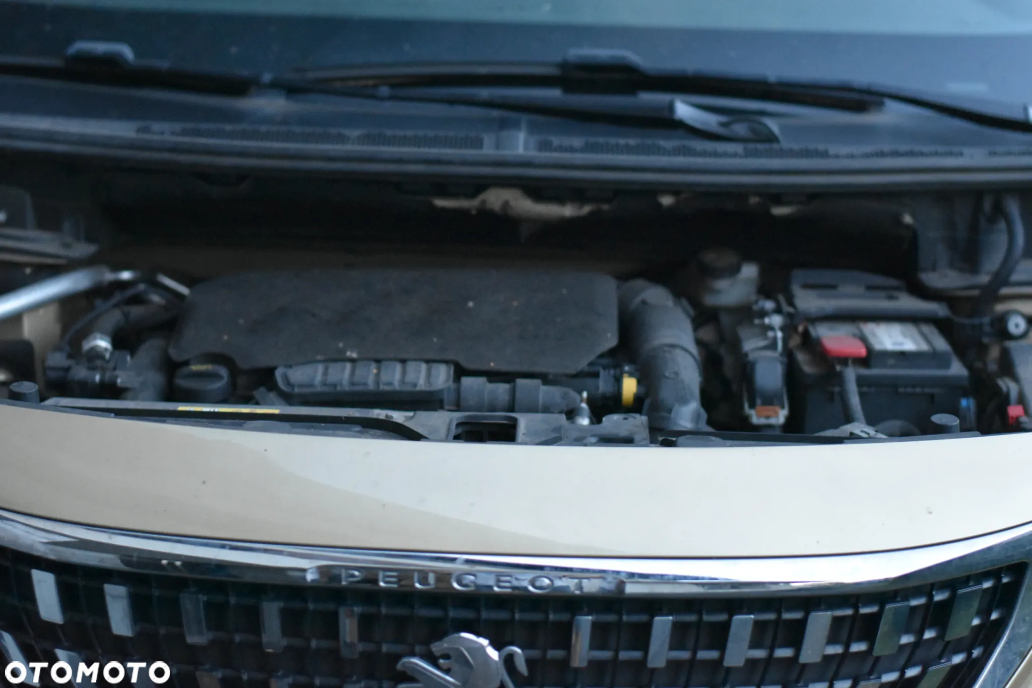 Peugeot 3008 1.2 PureTech GPF Allure S&S - 5