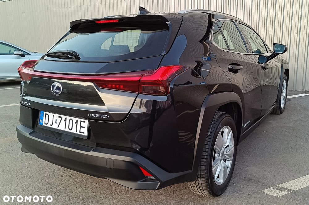 Lexus UX - 6