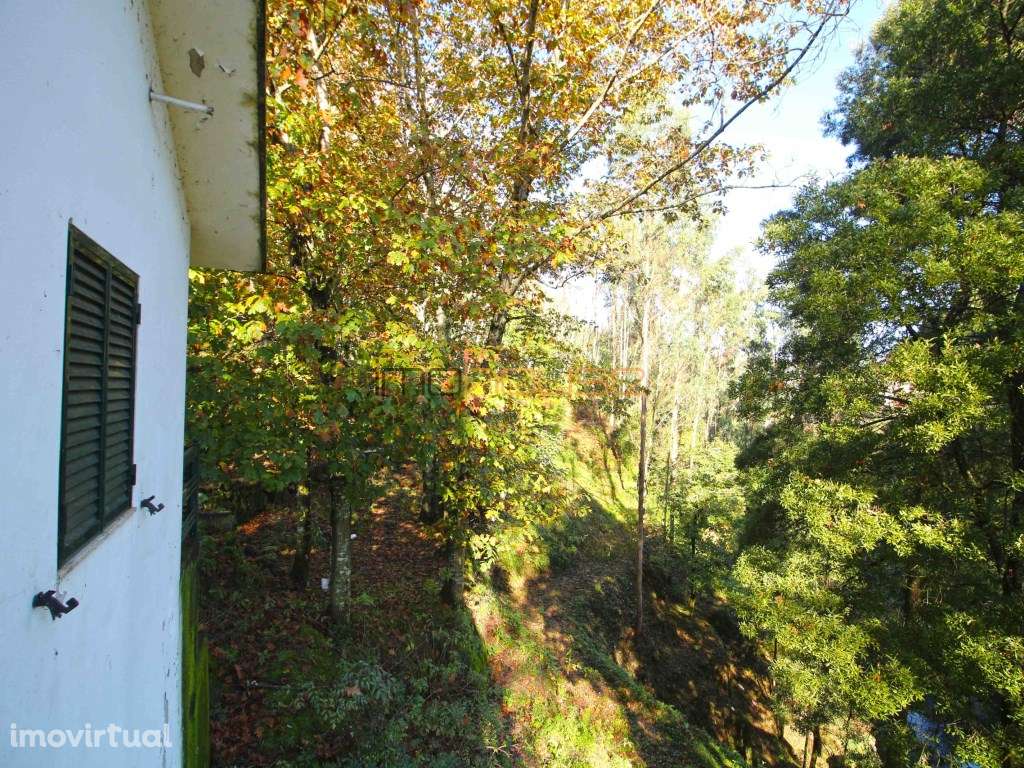 Quinta com frente de Rio - Grande imagem: 5/37