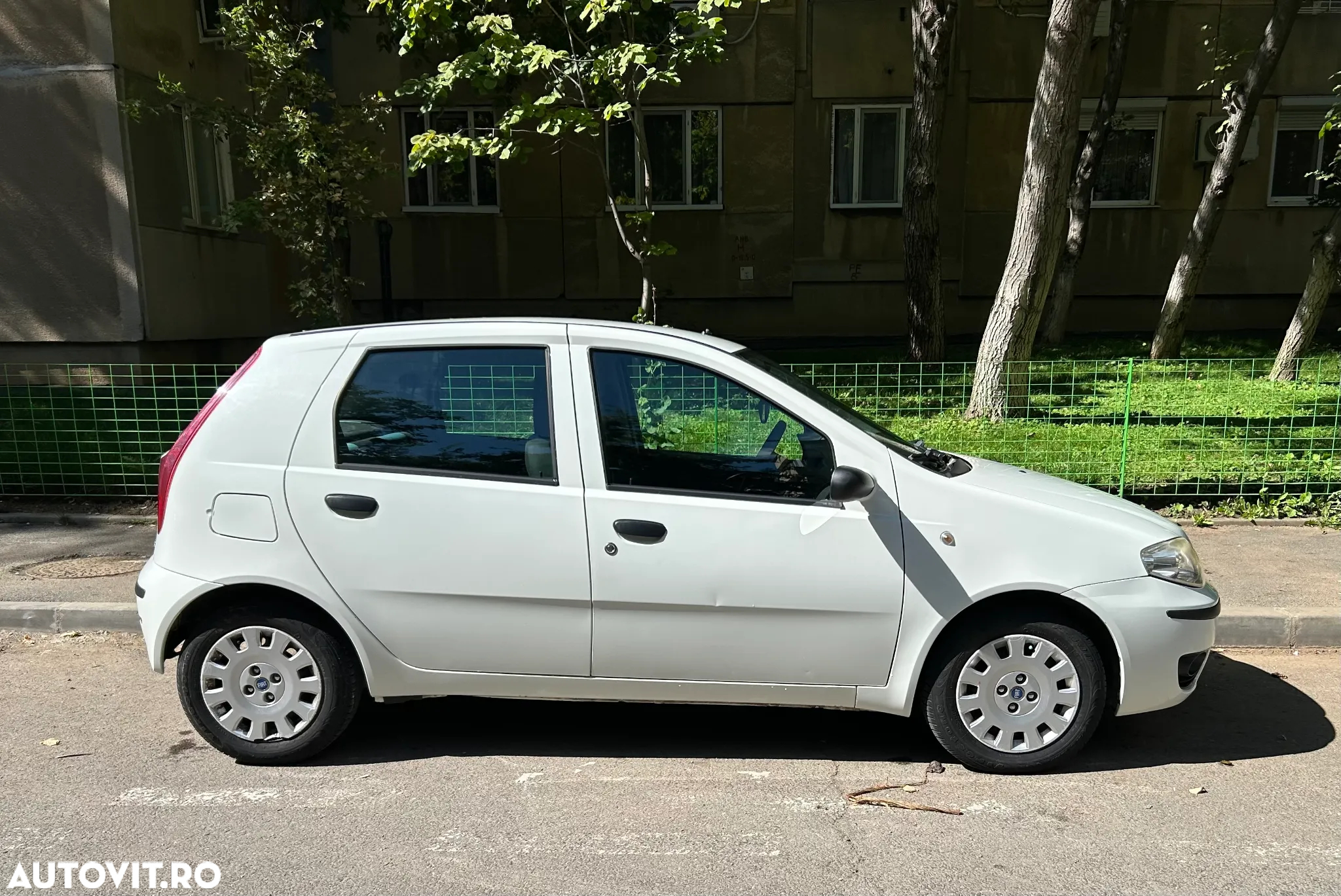 Fiat Punto 1.3 Multijet Classico - 15