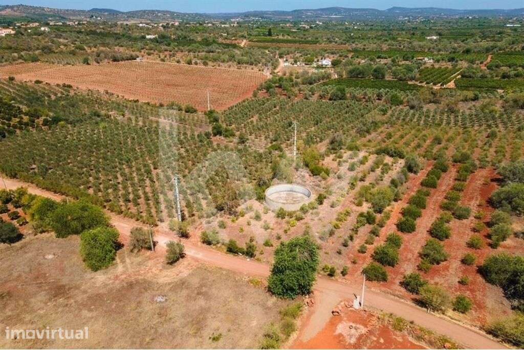 Terreno com 3.240 m2 e ruína – São Bartolomeu de Messines (Torreirão) - Grande imagem: 5/24