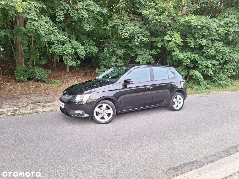 Skoda Fabia - 29