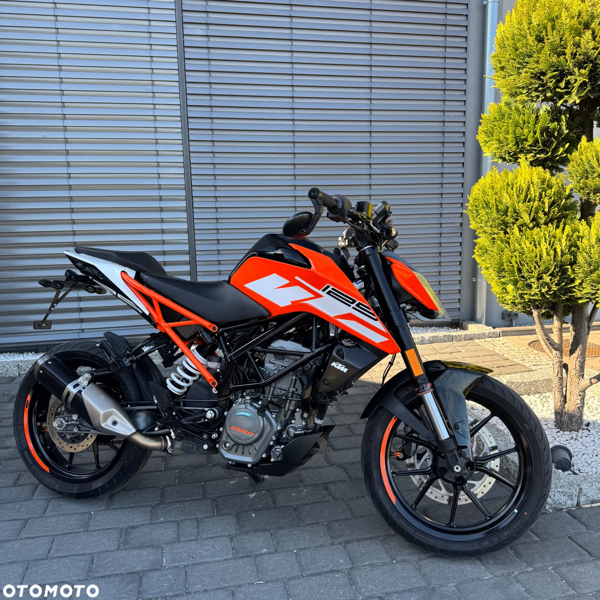 KTM Duke - 2