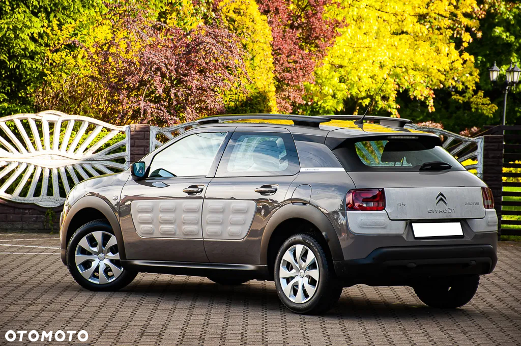 Citroën C4 Cactus PureTech 82 Feel Edition - 14