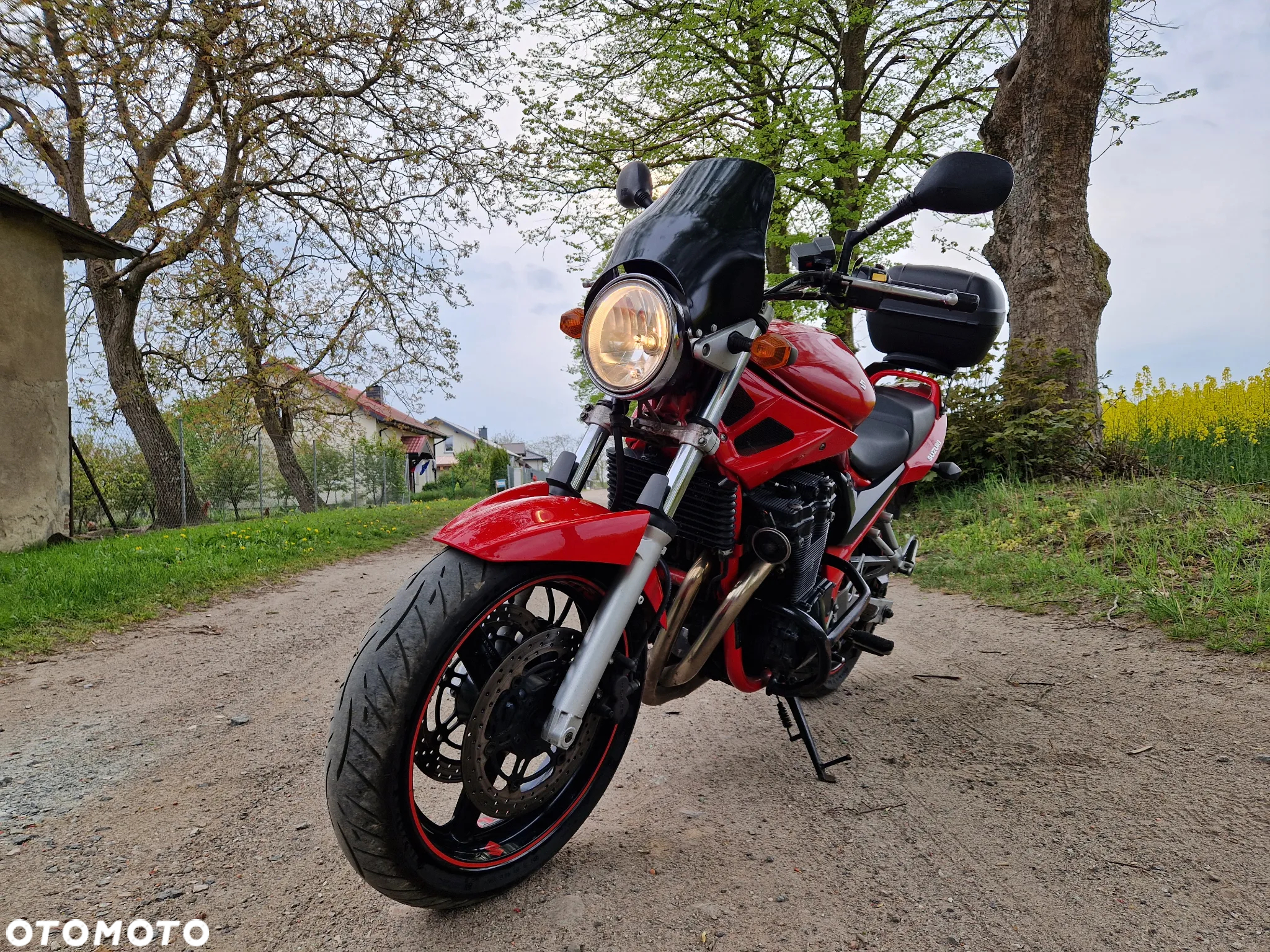 Suzuki Bandit - 3