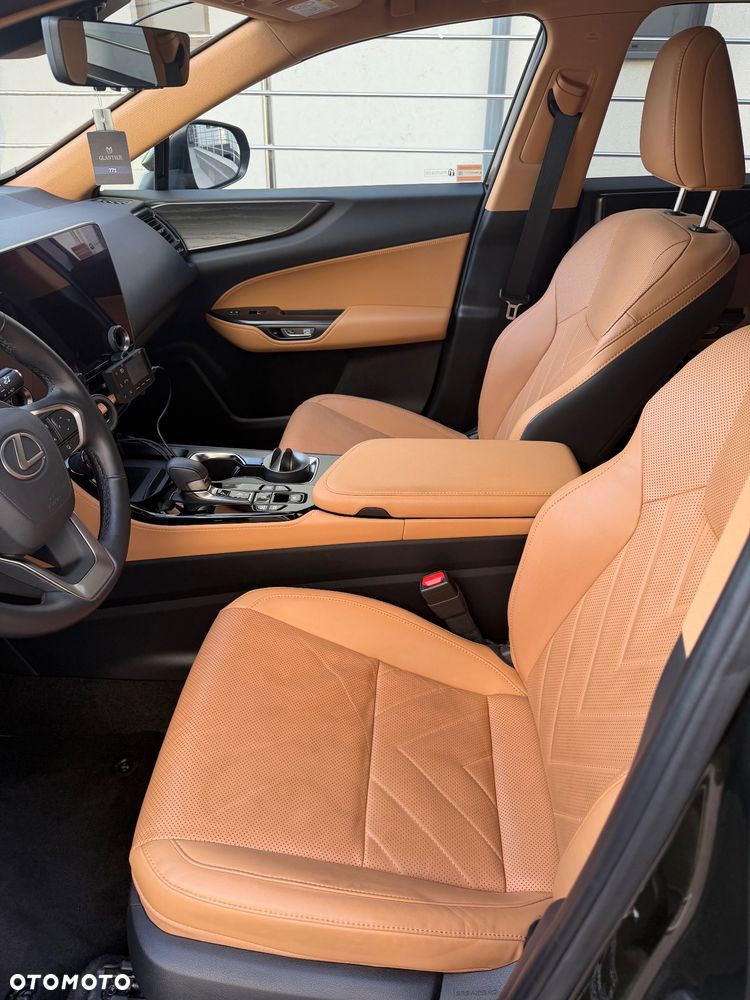 Lexus NX - 8