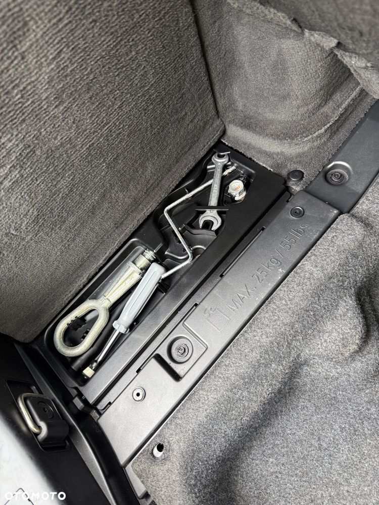 BMW Seria 3 330d DPF - 28