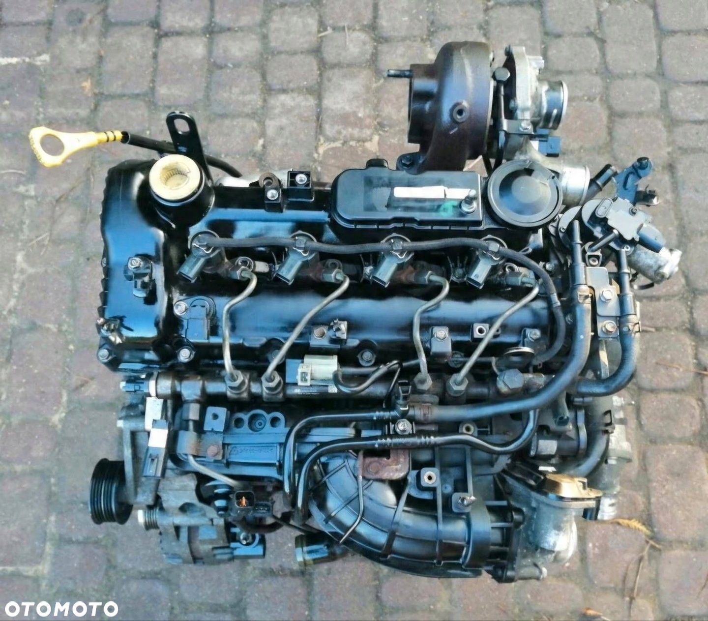 KIA Sportage 2013 Kompletne silniki - 5