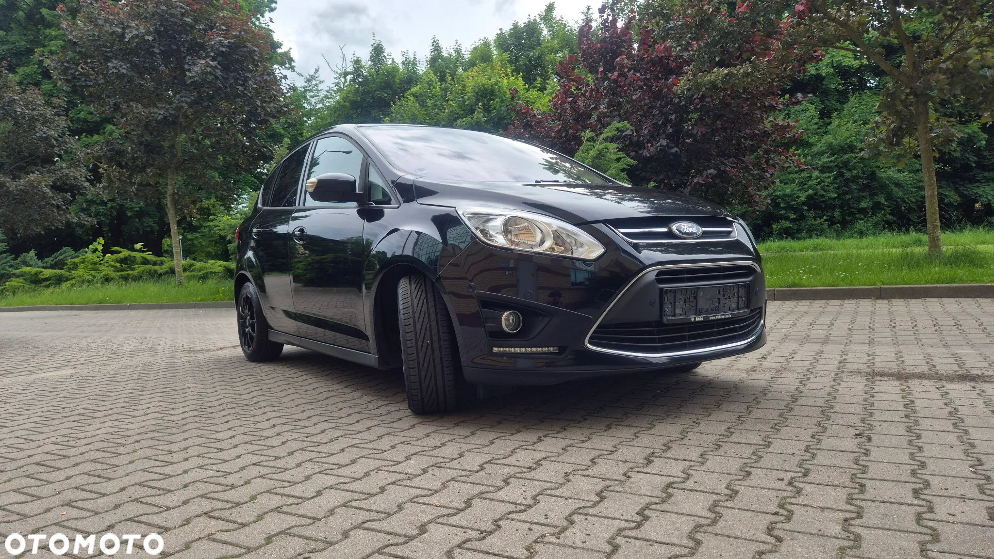 Ford C-MAX 1.6 EcoBoost Start-Stop-System Business Edition - 30