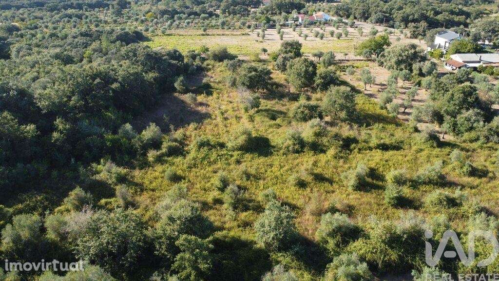 Terreno em Areias e Pias de 1850,00 m2 - Grande imagem: 4/13