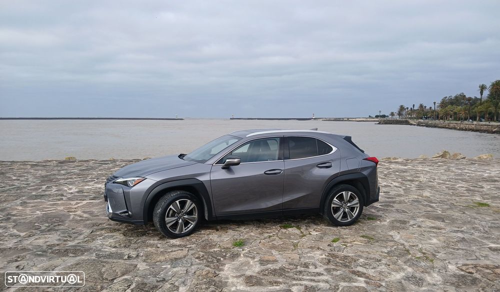 Lexus UX 300e Luxury - 2