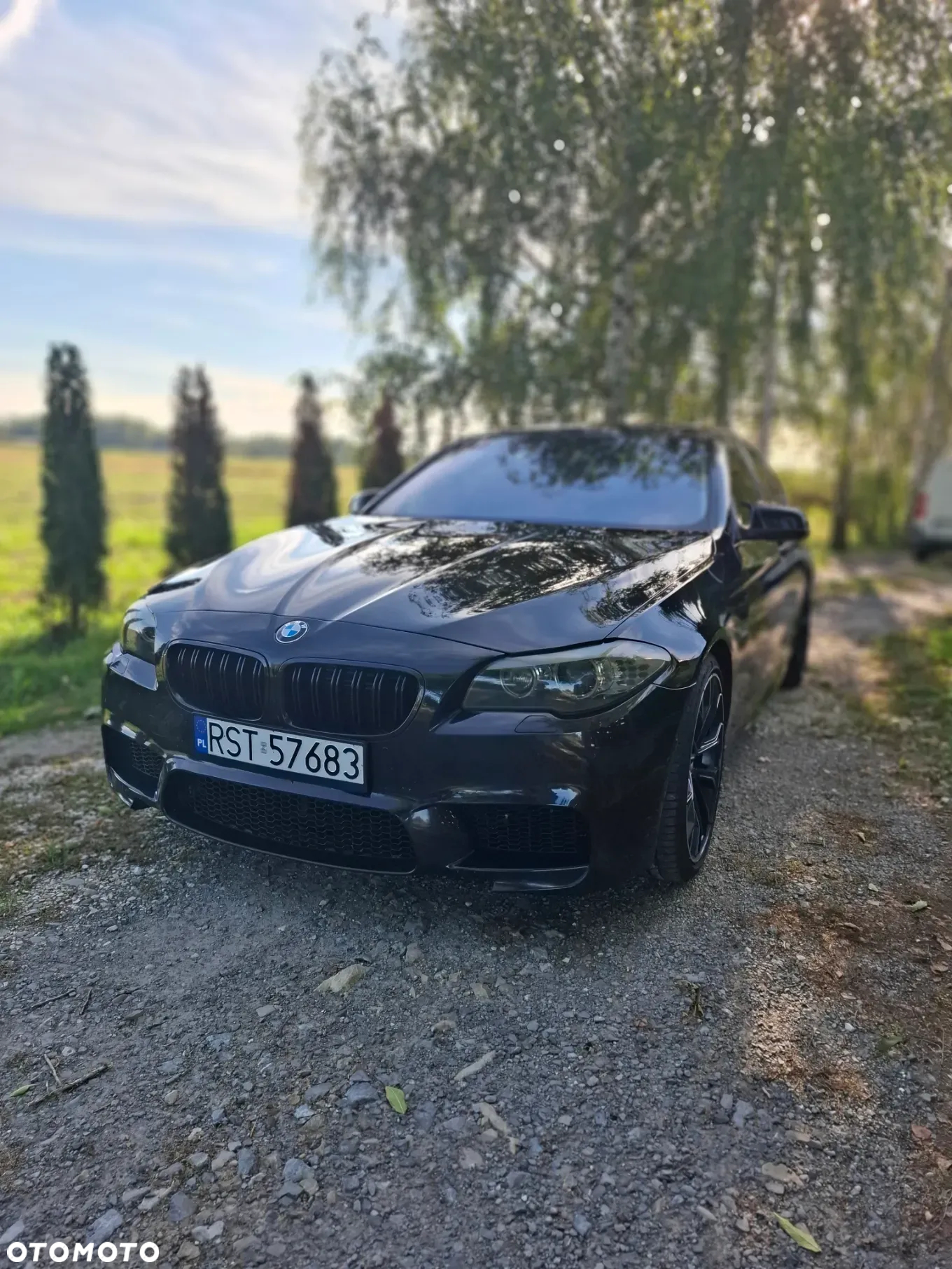BMW Seria 5 550i - 6