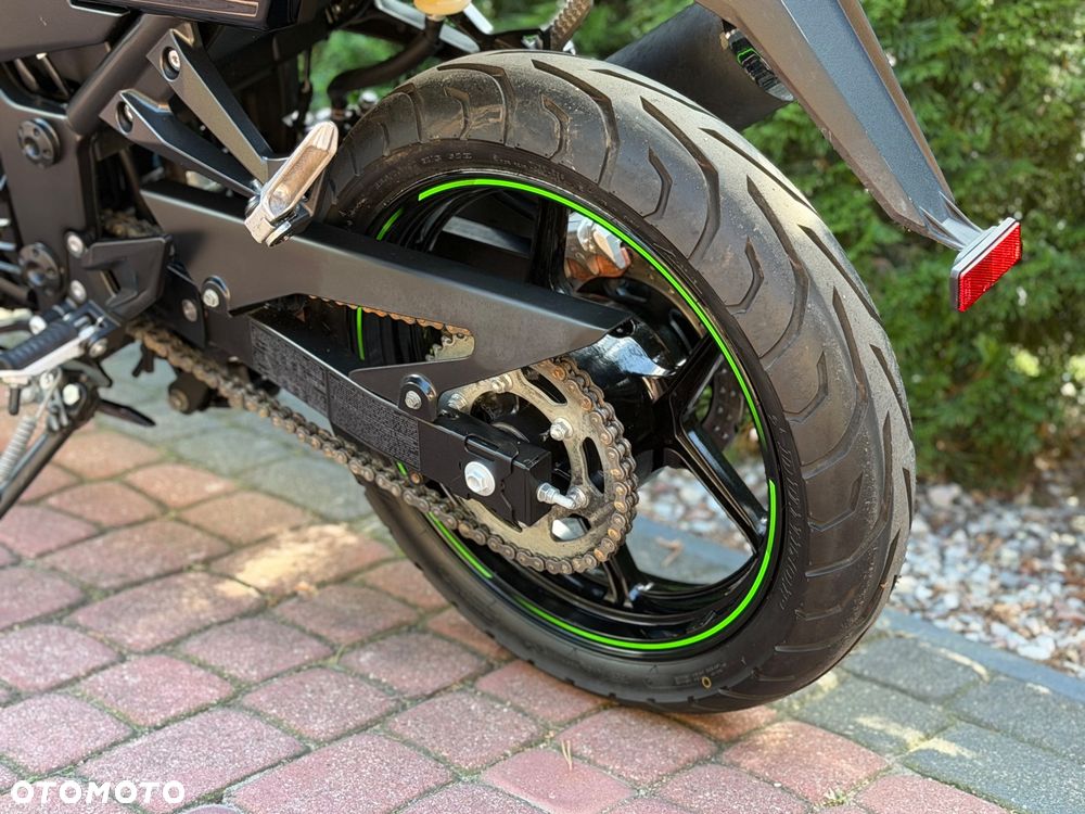 Kawasaki Ninja - 21