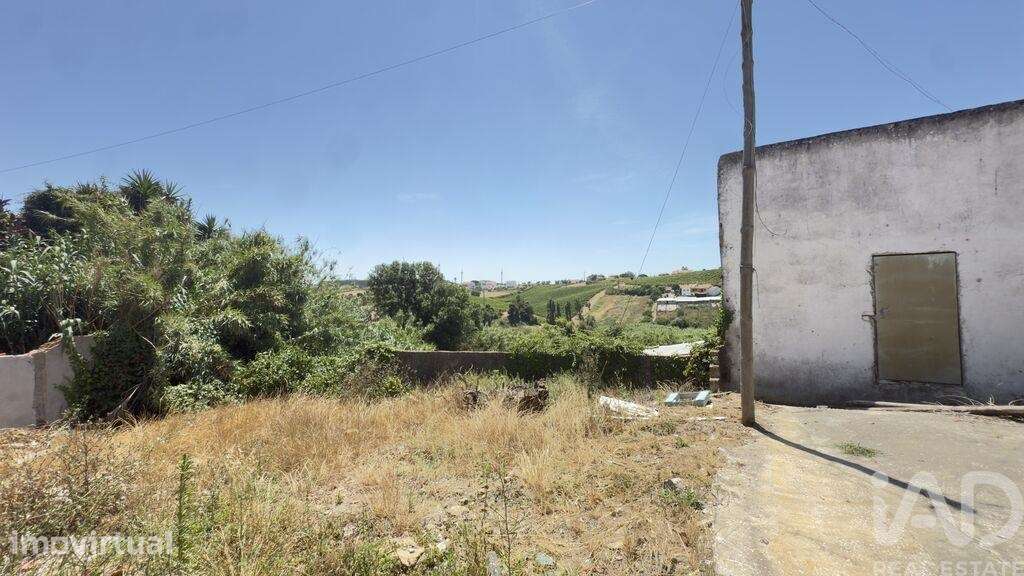Casa / Villa T2 em Ventosa de 75 m2 - Grande imagem: 3/19