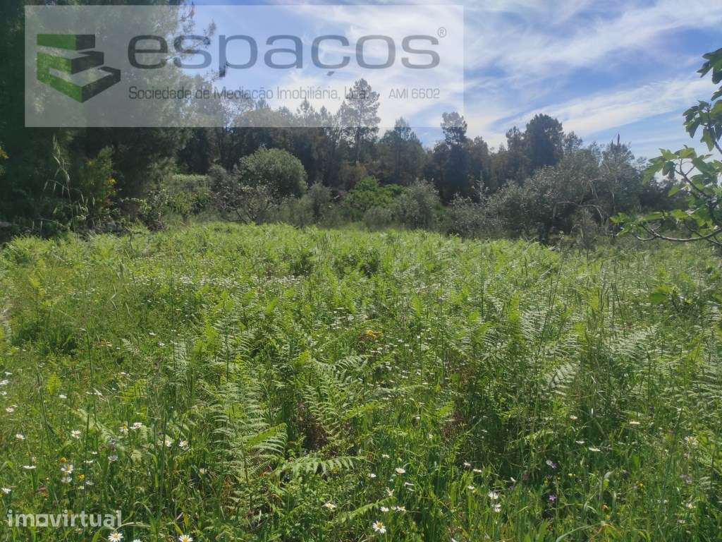 Terreno Rustico - Grande imagem: 4/16