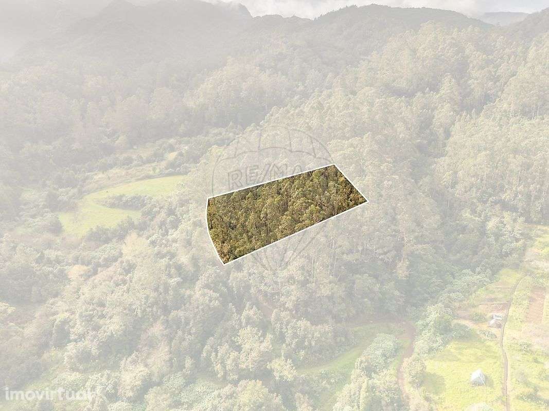 Terreno  para venda - Grande imagem: 4/10