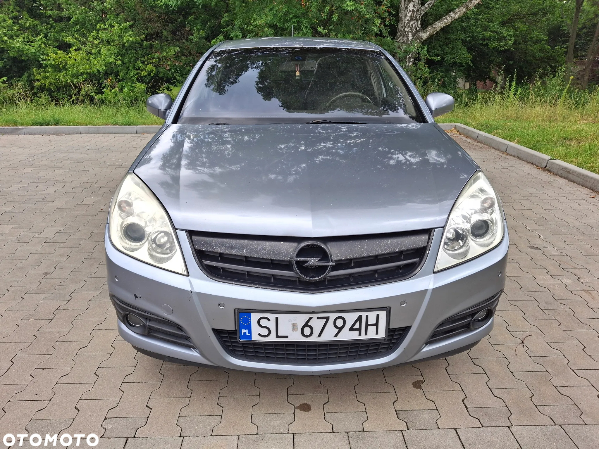 Opel Signum - 3