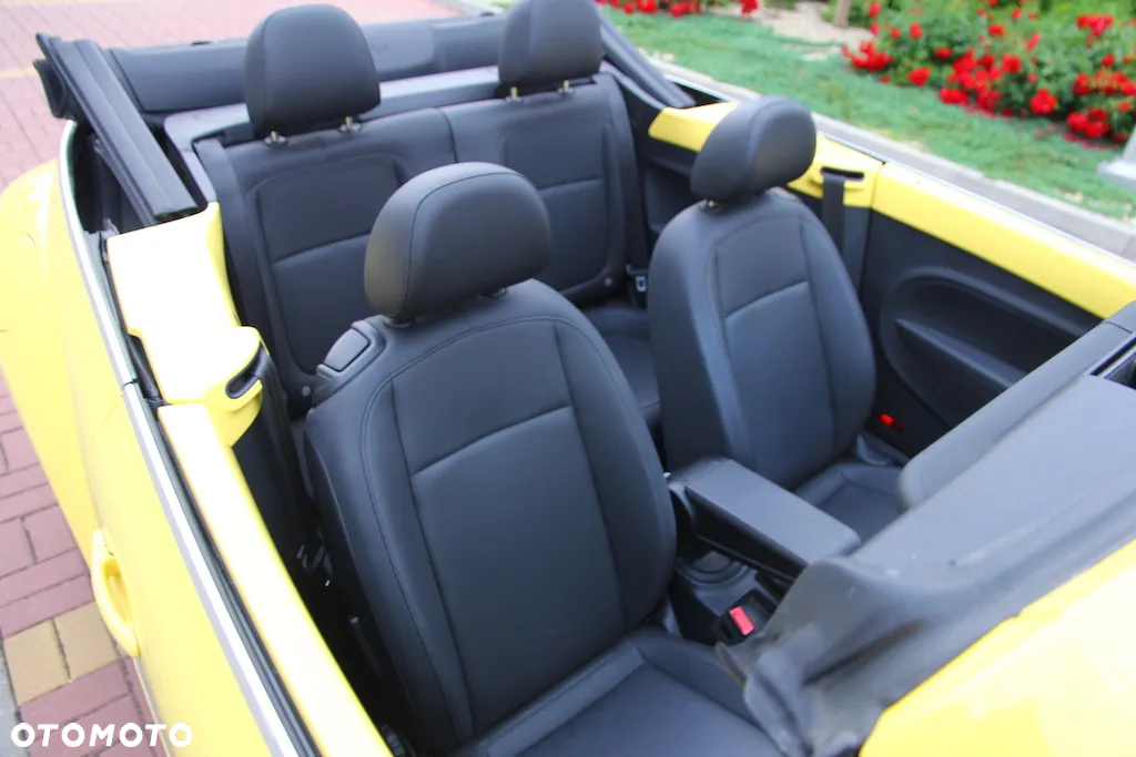 Volkswagen Beetle - 16