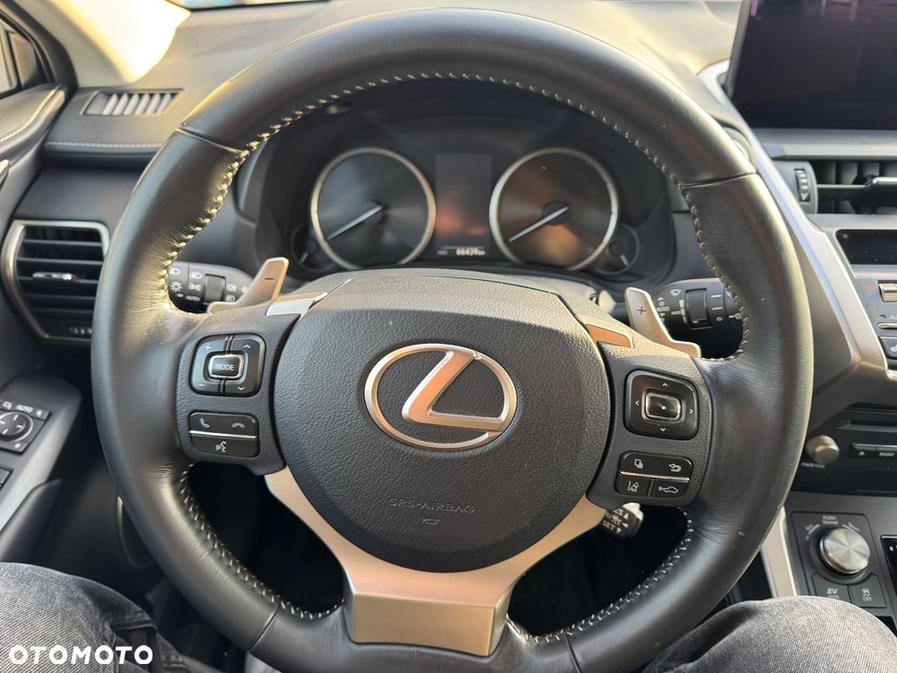 Lexus NX 300 Elegance Optimum AWD - 19