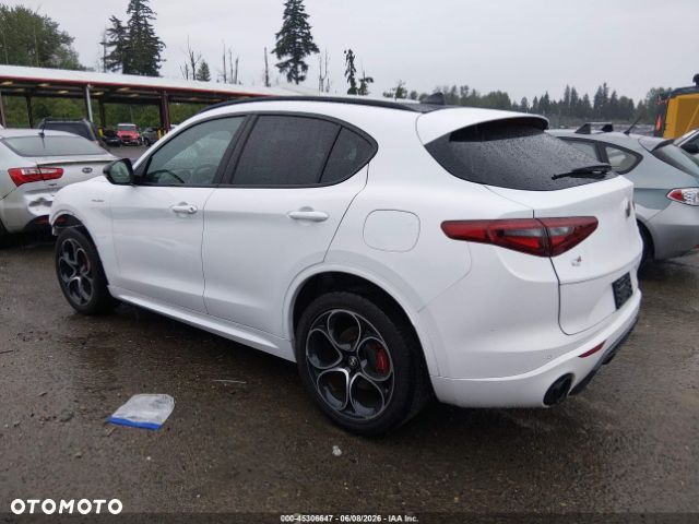 Alfa Romeo Stelvio 2.0 Turbo Veloce Q4 - 3