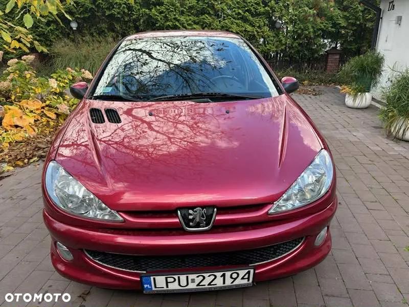 Peugeot 206 - 16