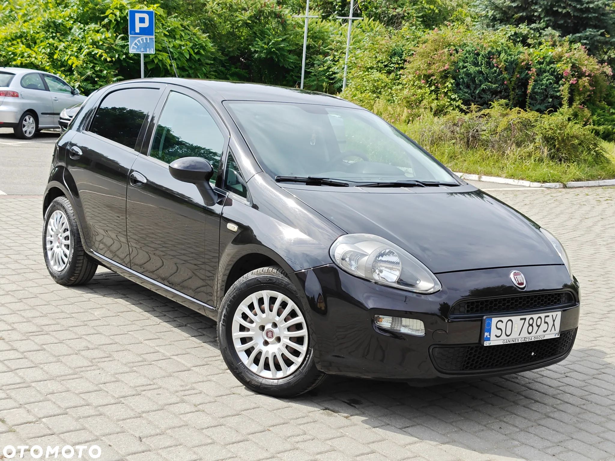 Fiat Punto Evo 1.2 8V Dynamic Start&Stop - 1